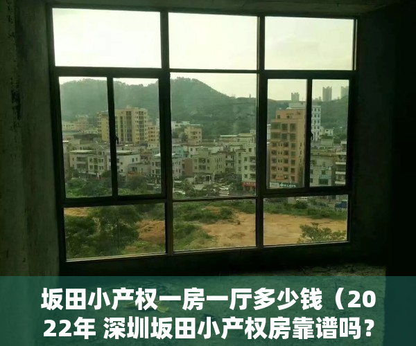 坂田小产权一房一厅多少钱（2022年 深圳坂田小产权房靠谱吗？ 只要买卖双方自愿公正合同就有效？）