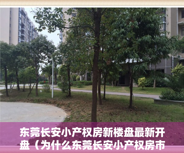 东莞长安小产权房新楼盘最新开盘（为什么东莞长安小产权房市场比较火爆，房子都很抢手？）