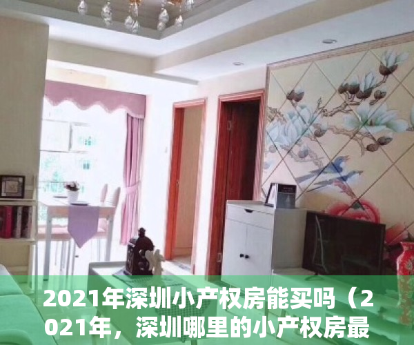 2021年深圳小产权房能买吗（2021年，深圳哪里的小产权房最便宜最值得购买呢？）