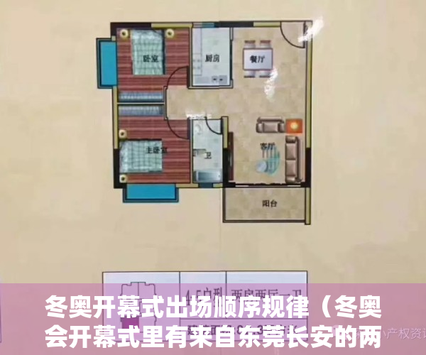 冬奥开幕式出场顺序规律（冬奥会开幕式里有来自东莞长安的两朵的“小雪花”）
