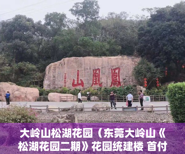 大岭山松湖花园（东莞大岭山《松湖花园二期》花园统建楼 首付四成小区房 带11停车位）