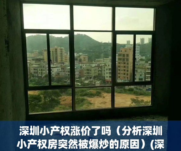 深圳小产权涨价了吗（分析深圳小产权房突然被爆炒的原因）(深圳小产权房价格涨幅)