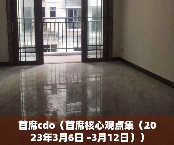 首席cdo（首席核心观点集（2023年3月6日 –3月12日））