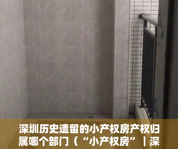 深圳历史遗留的小产权房产权归属哪个部门（“小产权房”｜深圳历史遗留违法建筑“绿本房”的强制执行）
