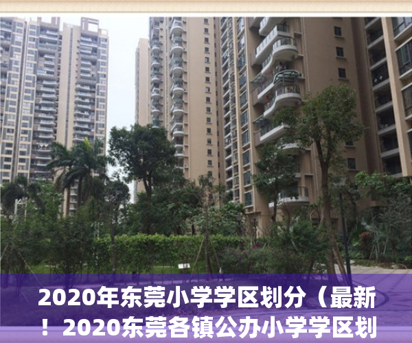 2020年东莞小学学区划分（最新！2020东莞各镇公办小学学区划分方案）(东莞小学片区划分)