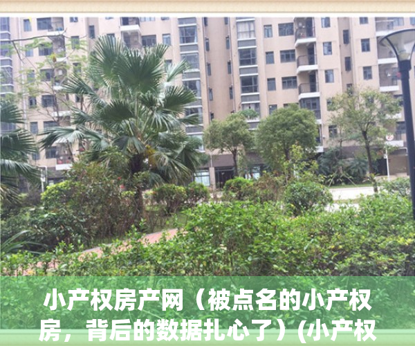 小产权房产网（被点名的小产权房，背后的数据扎心了）(小产权房网站发布)
