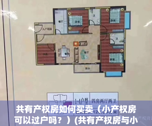 共有产权房如何买卖（小产权房可以过户吗？）(共有产权房与小产权房区别)