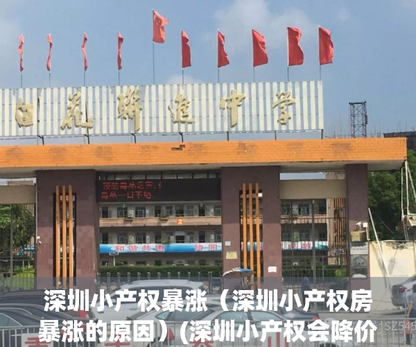 深圳小产权暴涨（深圳小产权房暴涨的原因）(深圳小产权会降价吗)