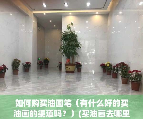 如何购买油画笔（有什么好的买油画的渠道吗？）(买油画去哪里买)