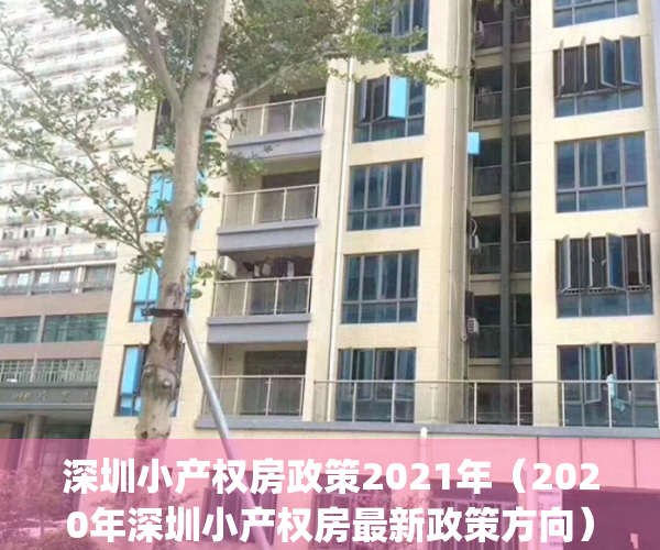 深圳小产权房政策2021年（2020年深圳小产权房最新政策方向）(深圳小产权房最新政策2020两会)
