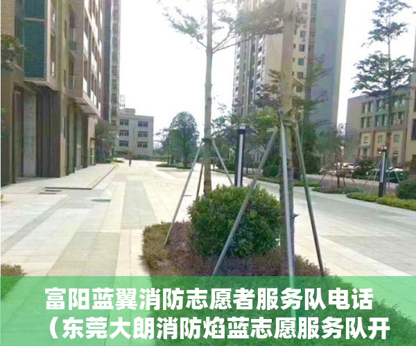 富阳蓝翼消防志愿者服务队电话（东莞大朗消防焰蓝志愿服务队开展“我为老人办实事”志愿服务活动）