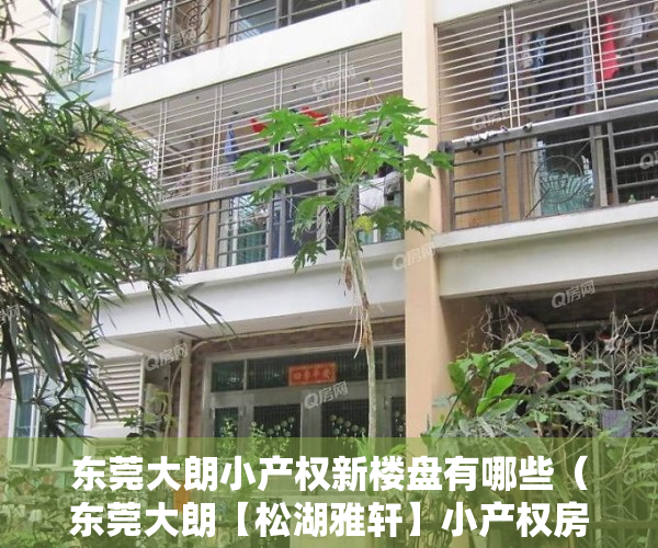 东莞大朗小产权新楼盘有哪些（东莞大朗【松湖雅轩】小产权房最新开盘，带停车场 均价5300元）