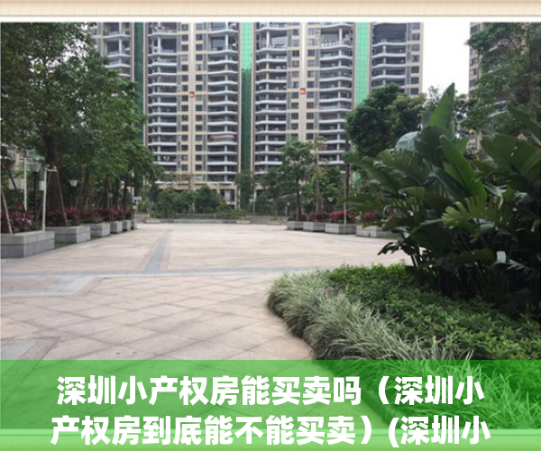 深圳小产权房能买卖吗（深圳小产权房到底能不能买卖）(深圳小产权房可以买吗?知乎)