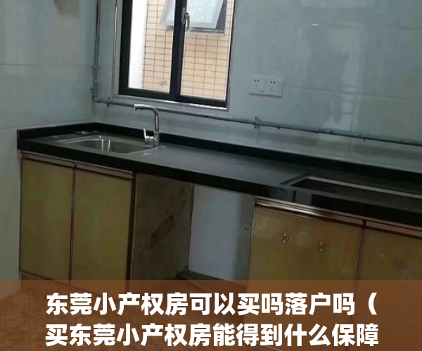 东莞小产权房可以买吗落户吗（买东莞小产权房能得到什么保障？）(东莞小产权的房子可以买吗)