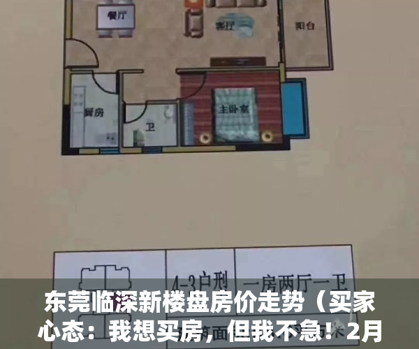 东莞临深新楼盘房价走势（买家心态：我想买房，但我不急！2月东莞临深片区新盘有哪些？）