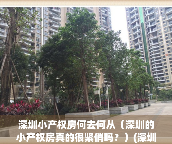 深圳小产权房何去何从（深圳的小产权房真的很紧俏吗？）(深圳小产权房合法吗)