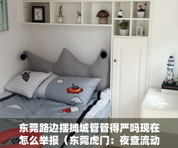 东莞路边摆摊城管管得严吗现在怎么举报（东莞虎门：夜查流动摊贩占道经营，营造舒适城市环境）