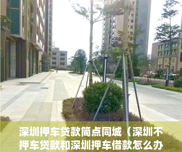 深圳押车贷款简点同城（深圳不押车贷款和深圳押车借款怎么办理？）(深圳押车放款)