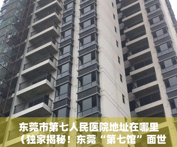 东莞市第七人民医院地址在哪里（独家揭秘！东莞“第七馆”面世！将会惊艳多少人的一生）
