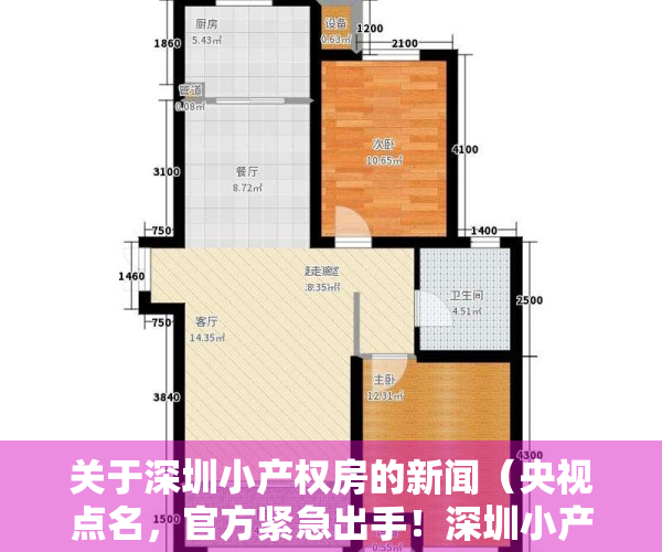 关于深圳小产权房的新闻（央视点名，官方紧急出手！深圳小产权房该何去何从？）
