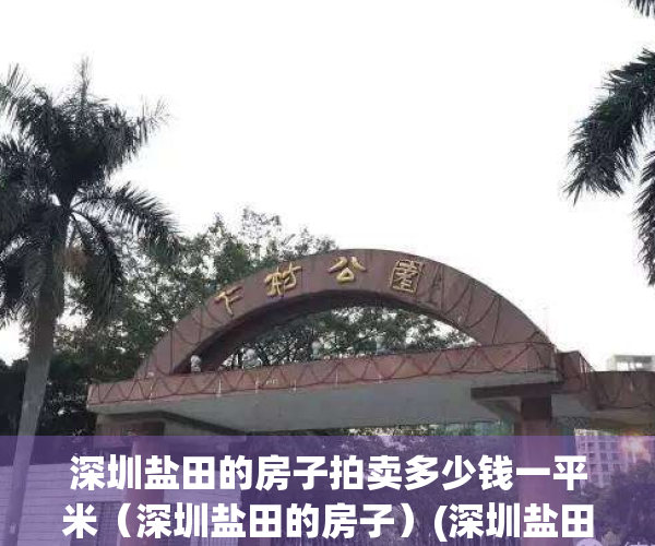 深圳盐田的房子拍卖多少钱一平米（深圳盐田的房子）(深圳盐田新楼盘房价)