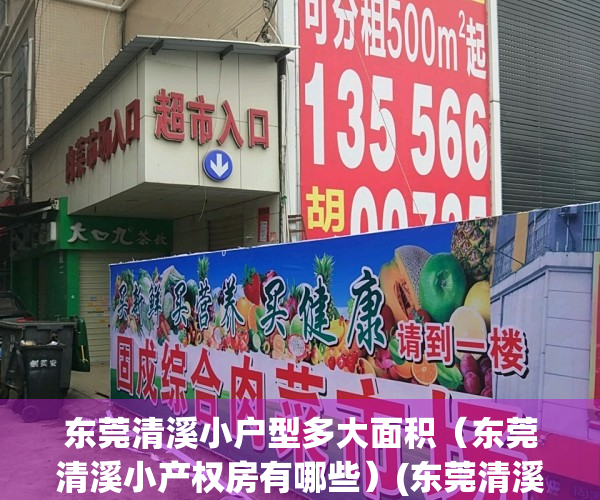 东莞清溪小户型多大面积（东莞清溪小产权房有哪些）(东莞清溪房子有升值空间吗)