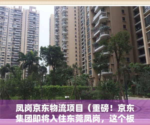 凤岗京东物流项目（重磅！京东集团即将入住东莞凤岗，这个板块的小产权房即将暴涨！）