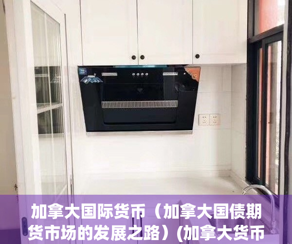 加拿大国际货币（加拿大国债期货市场的发展之路）(加拿大货币交易所)