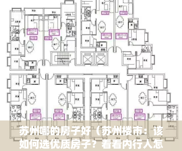 苏州哪的房子好（苏州楼市：该如何选优质房子？看看内行人怎么说）(苏州哪边房子性价比高)