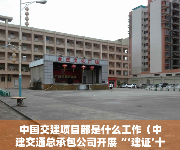 中国交建项目部是什么工作（中建交通总承包公司开展“‘建证’十周年 奋进新征程”党员职工“三亮”活动）