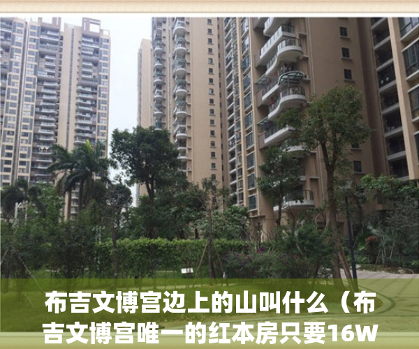 布吉文博宫边上的山叫什么（布吉文博宫唯一的红本房只要16W）(布吉文博宫对面小区)