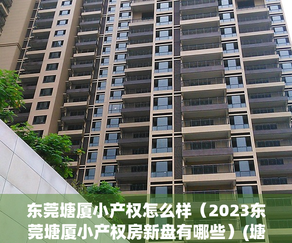 东莞塘厦小产权怎么样（2023东莞塘厦小产权房新盘有哪些）(塘厦环境最好的小产权房)