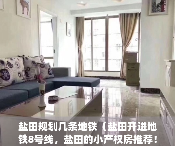 盐田规划几条地铁（盐田开进地铁8号线，盐田的小产权房推荐！）(盐田规划有几条地铁)