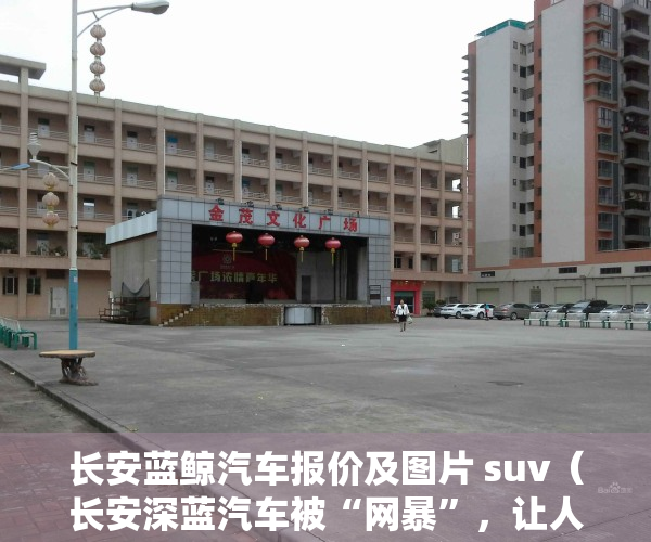 长安蓝鲸汽车报价及图片 suv（长安深蓝汽车被“网暴”，让人想起了特斯拉，车价、房价只能涨？）