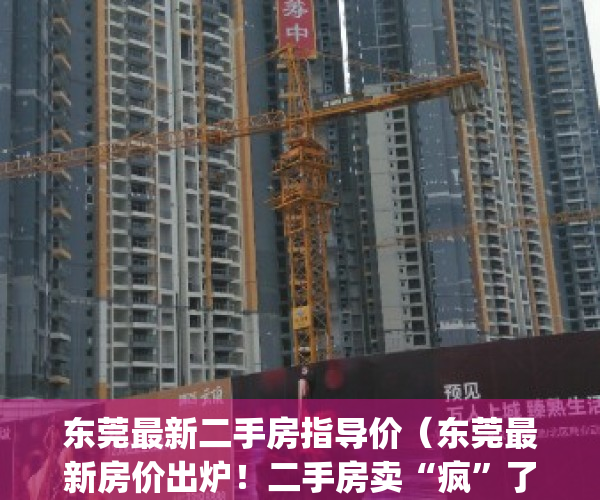 东莞最新二手房指导价（东莞最新房价出炉！二手房卖“疯”了！）(东莞二手房最新价格表)