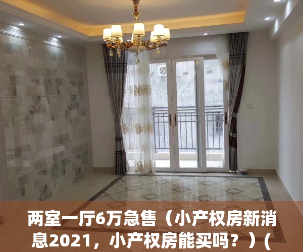 两室一厅6万急售（小产权房新消息2021，小产权房能买吗？）(小两房户型图 60平)