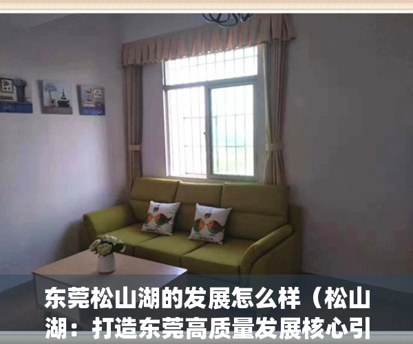 东莞松山湖的发展怎么样（松山湖：打造东莞高质量发展核心引擎）(广东省东莞市松山湖未来发展)