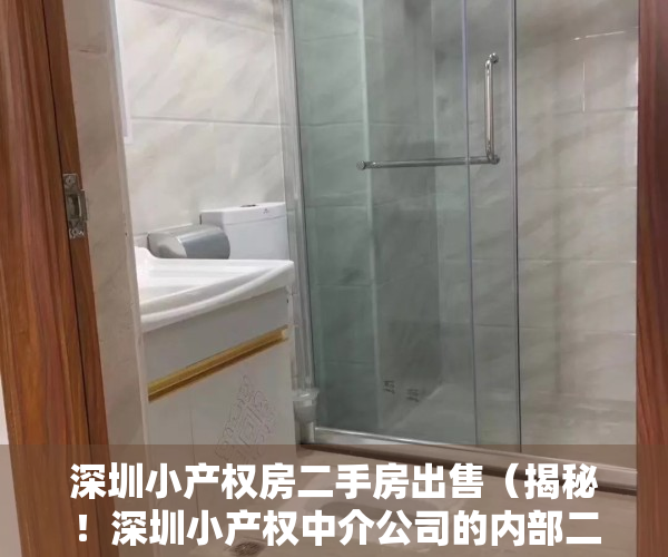 深圳小产权房二手房出售（揭秘！深圳小产权中介公司的内部二手房源，比一手房便宜好几十万）