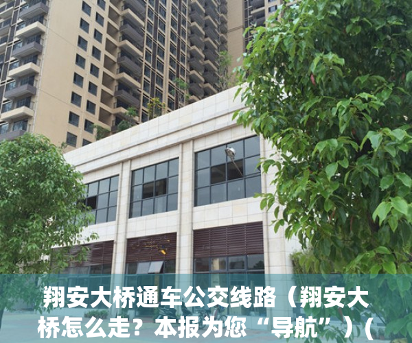 翔安大桥通车公交线路（翔安大桥怎么走？本报为您“导航”）(翔安大桥 通车)