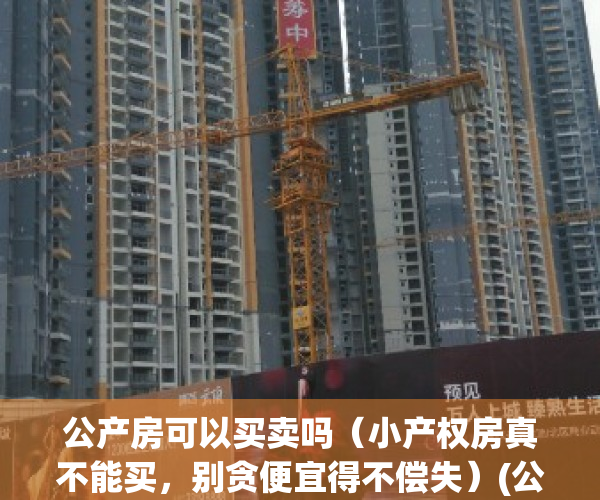公产房可以买卖吗（小产权房真不能买，别贪便宜得不偿失）(公产房和小产权房的区别)