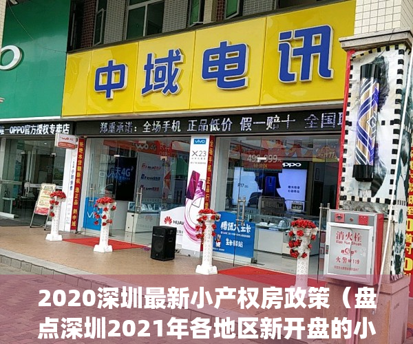 2020深圳最新小产权房政策（盘点深圳2021年各地区新开盘的小产权房！）(2021年深圳小产权房政策解读)