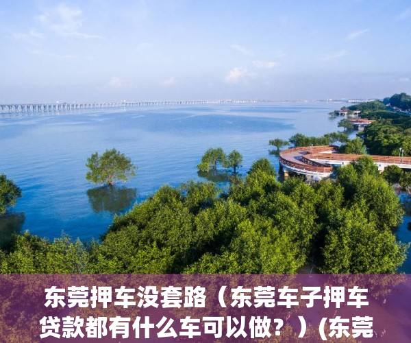 东莞押车没套路（东莞车子押车贷款都有什么车可以做？）(东莞汽车抵押不押车贷款流程)