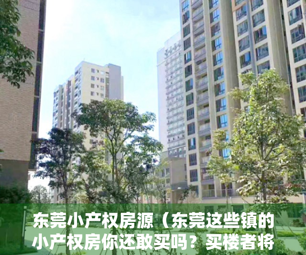东莞小产权房源（东莞这些镇的小产权房你还敢买吗？买楼者将面临拆楼、停电、停水）