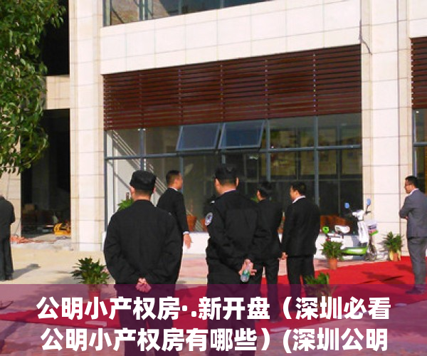 公明小产权房·.新开盘（深圳必看公明小产权房有哪些）(深圳公明小产权房值得买吗)