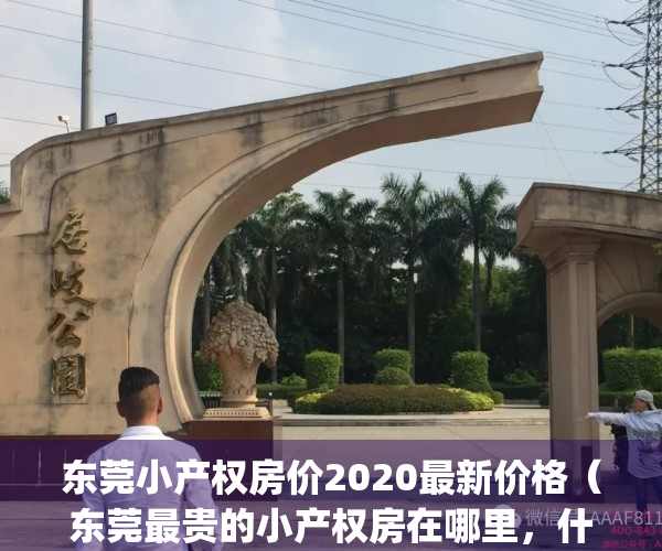 东莞小产权房价2020最新价格（东莞最贵的小产权房在哪里，什么价格？）(东莞最大的小产权房)