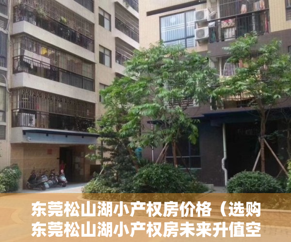 东莞松山湖小产权房价格（选购东莞松山湖小产权房未来升值空间比较大）