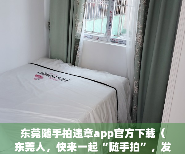 东莞随手拍违章app官方下载（东莞人，快来一起“随手拍”，发现城市管理问题及时办）