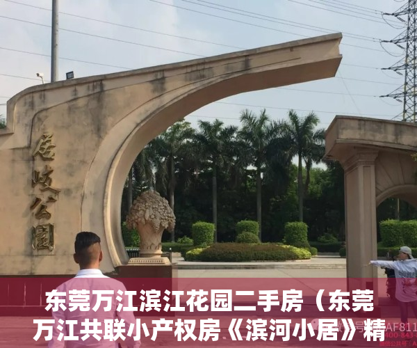 东莞万江滨江花园二手房（东莞万江共联小产权房《滨河小居》精装现房，首付2成，分期8年）
