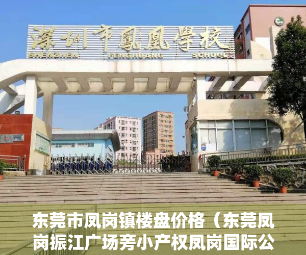 东莞市凤岗镇楼盘价格（东莞凤岗振江广场旁小产权凤岗国际公馆四栋大型统建楼总价138万）