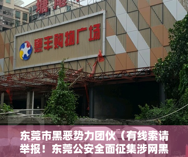 东莞市黑恶势力团伙（有线索请举报！东莞公安全面征集涉网黑恶犯罪线索）